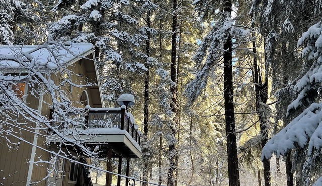 Cozy pines cabin - relax, unwind, explore