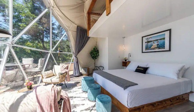 Cozy Point Retreat - Luxury, King Beds & Hot Tub