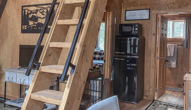 Cozy Priest Lake Cabin In The Woods