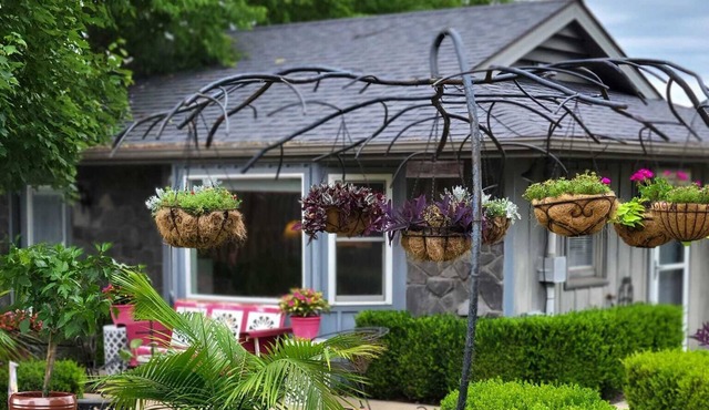 Cozy private, 1 bed/1bath, fully handicapped accessible cottage, near Branson.