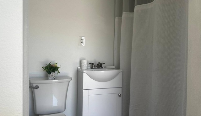 Cozy Private Loft Near Busch Gardens USF