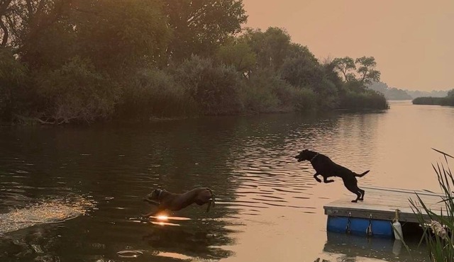 Cozy & Private Paradise Snake River front- fishing /hunting/UTV riding close by