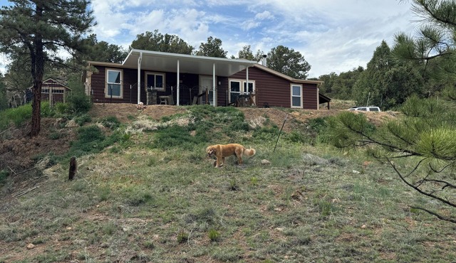 Cozy private retreat in the Wet Mountains with 5 acres to roam on. Pet Friendly!