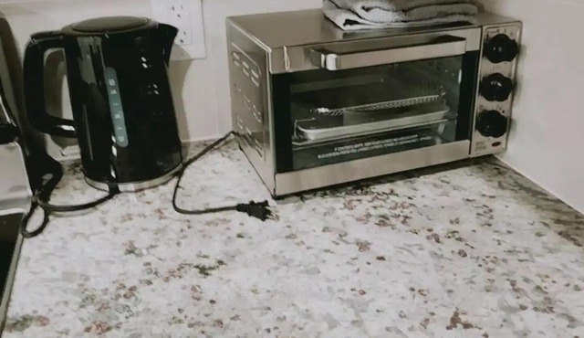 Cozy private two bedroom apartment in Northwest Calgary