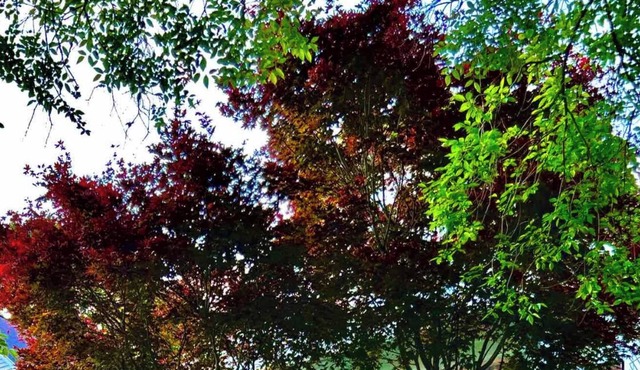 Cozy, quaint & great location. The perfect home away from home. Pets welcome!