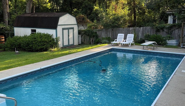 Cozy, Quiet 3 Bed 2 Bath Home with Private Pool!
