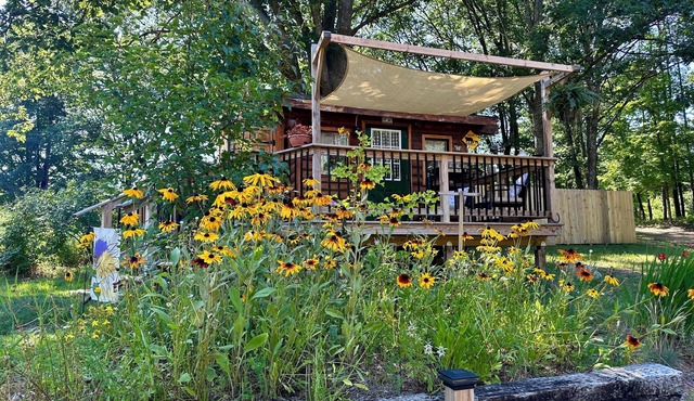 Cozy, quiet and comfortable real log cabin close to all the up north fun!