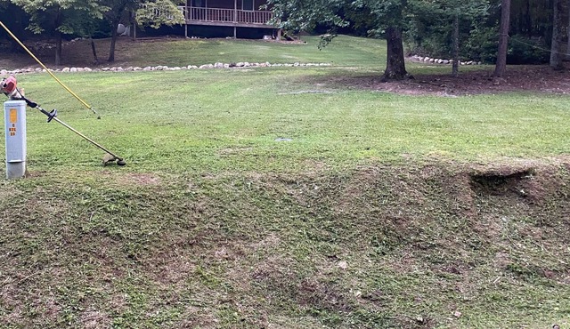 Cozy, Quiet Cabin Escape