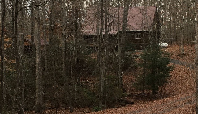 Cozy Quiet Cabin @ Lake Anna