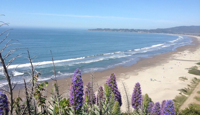 Cozy Quiet Cottage Close to Trails, Wine Country and SF!