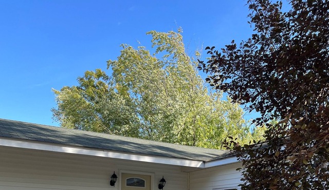 Cozy, quiet cottage in the country with stocked lake access