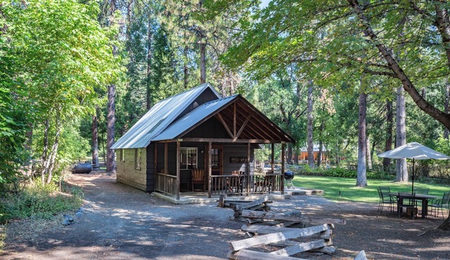 Cozy Ramshorn Cabin located on Coffee Creek in Trinity Alps