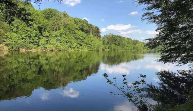 Cozy & relaxing cottage on the lake *Dog Friendly*