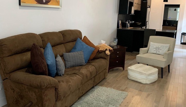 Cozy renovated apartment near downtown with parking