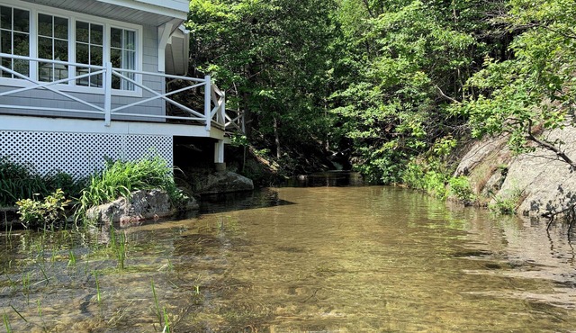Cozy, renovated rustic cottage on the shore of beautiful navigable laken