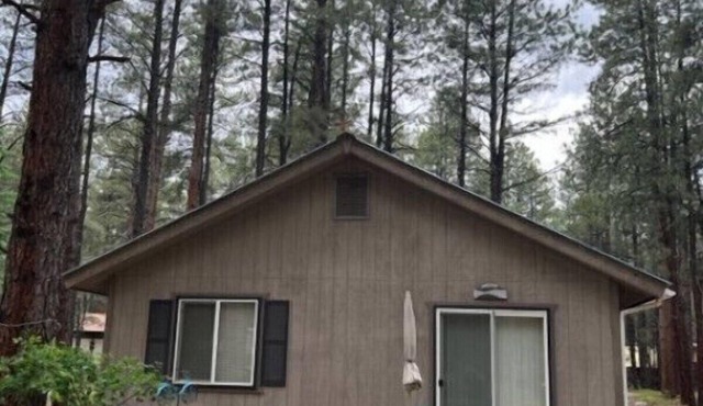 Cozy retreat in the pine trees seconds to the river & couple of minutes to Vallecito Lake and a beautiful drive to Durango