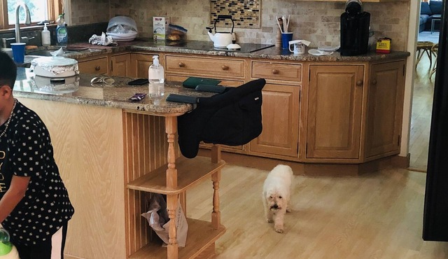 Cozy Retreat surrounded by Wine Country and Beach Sunsets