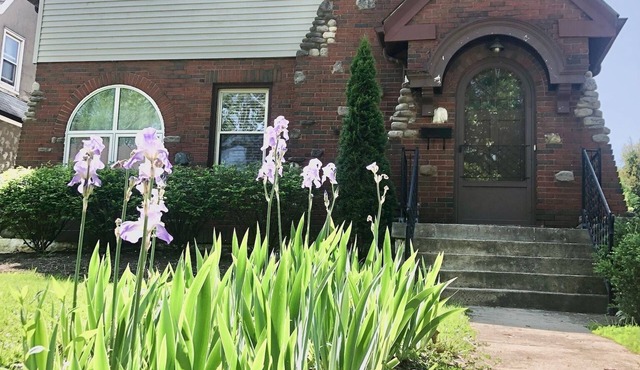 Cozy Retreat @ The Sweet Iris