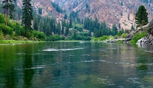 Cozy retreat within walking distance of anything in town and the salmon river!