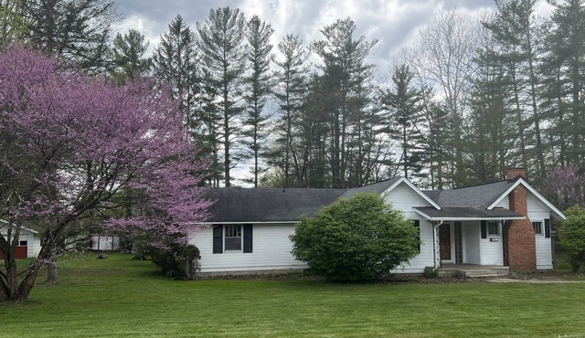 Cozy retro cottage next to the Monongahela Forest.