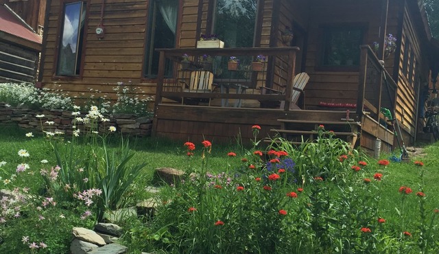 Cozy Rico Cabin