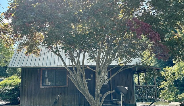 Cozy River Cabin with river access and minutes from Chimney Rock state park