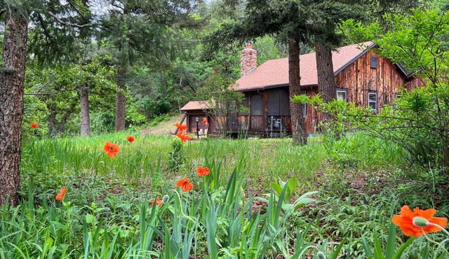 Cozy river front 3 bedroom Colorado cabin