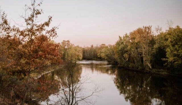 Cozy River Front Cabin