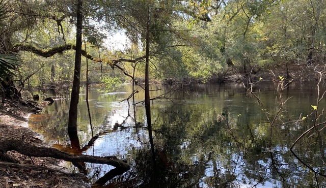 Cozy river front retreat on beautiful Withlacoochee River. Near theme parks.