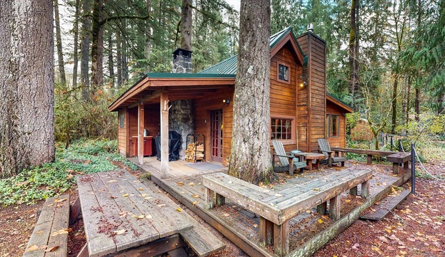 Cozy riverfront cabin with wood-burning fireplace, lovely deck, and washer/dryer