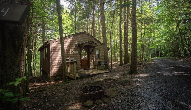 Cozy Romantic Cabin with Hot Tub on Screened Porch