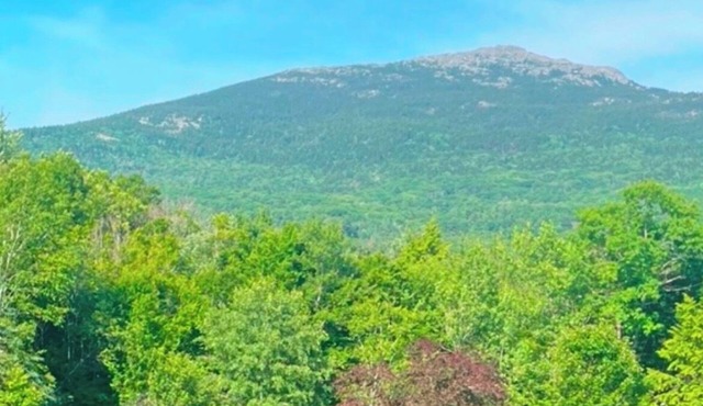 Cozy Romantic Mountain View studio at the base of Mt Monadnock