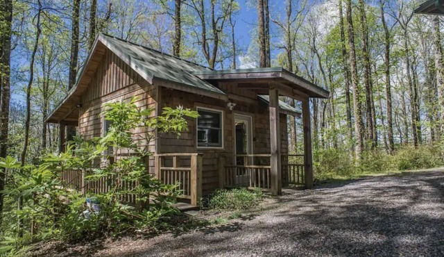 Cozy Romantic, Pet Friendly, Craftsmen Cabin In The Woods, DISCOUNTED RATES