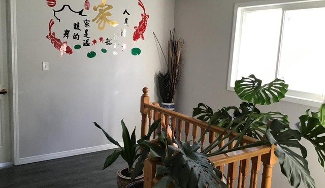 Cozy room
