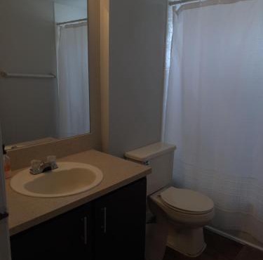 Cozy room for rent