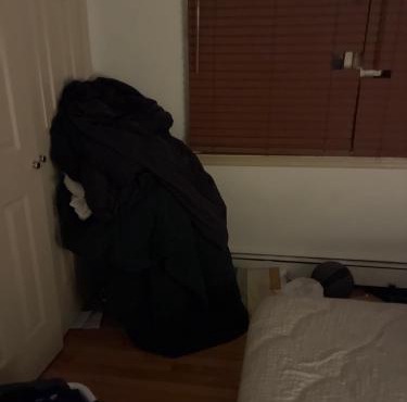 Cozy room in Syosset