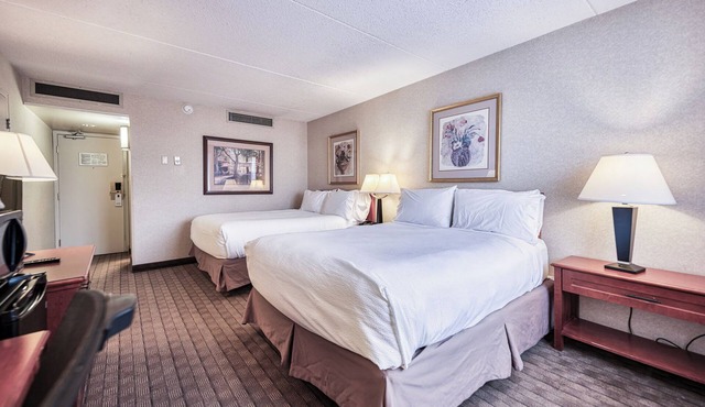 Cozy Rooms At Amenida Residences + Hotel - Pet Friendly