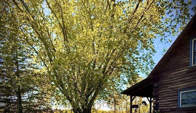Cozy Rustic 3-bedroom river cabin with WiFi on the Menominee River