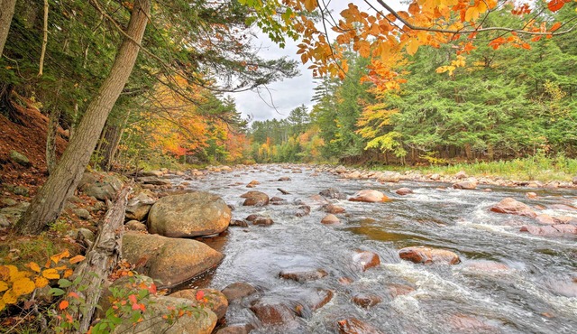 Cozy, Rustic Adirondack Riverfront Log Cabin, Rapids, access to snowmobile trail