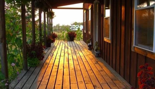 Cozy, rustic cabin with beautiful views, privacy, and 1 mile from Keuka Lake