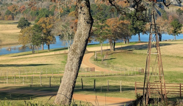 Cozy RV - Awesome View - Fishing & Pet Friendly!