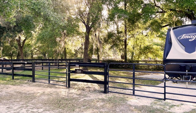 Cozy RV in Lovely Ocala with Fenced Yard, WiFi, AC: Near WEC