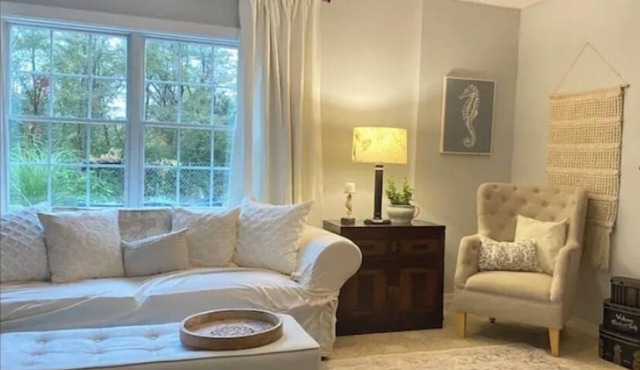 Cozy safe 1 BR Private apartment Traveling Professionals near skiing Hospitals