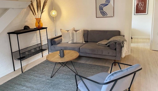 Cozy Scandinavian Apartment in the Heart of Viborg