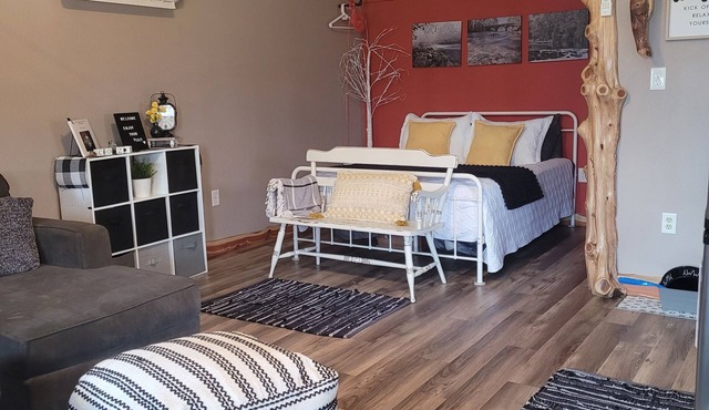 Cozy secluded cabin. 10 minutes from Bennett Springs State Park. Pet friendly