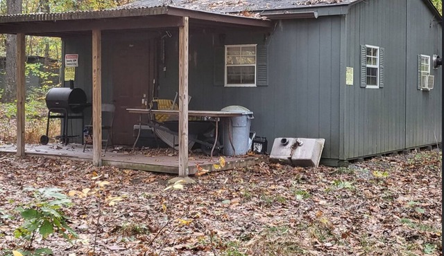 Cozy Secluded Cabin - Many recreational opportunities