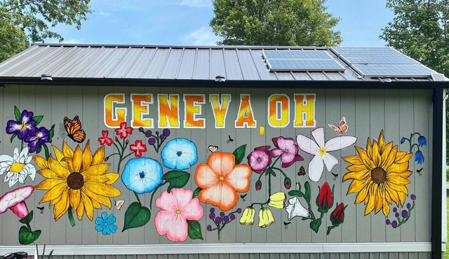 Cozy Shed-Teau in Geneva