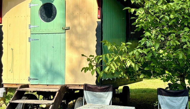 Cozy shepherd's hut in an edible landscape on a permaculture farm