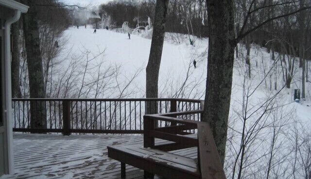 COZY SKI COTTAGE-SKI IN SKI OUT