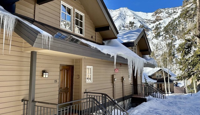 Cozy Ski-in Ski-out Snowbird Townhouse